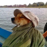 Маргарита