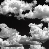 кодыкова в.