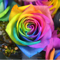 Татьяна Лапшина