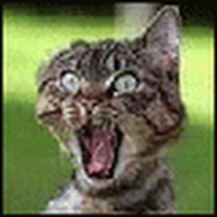 Даянов Станислав