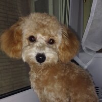 Юлия Князева