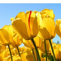 Екатерина В.