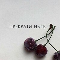 Ksenia M.