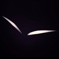 Дмитрий Алексеев