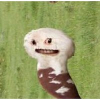 Ирина Гринаднева