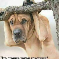 Павел Чаптаров