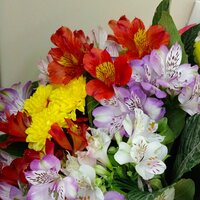 Татьяна Попова