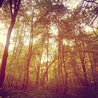 Камилла Вострецова