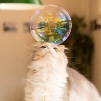 Ангелина Матюшина