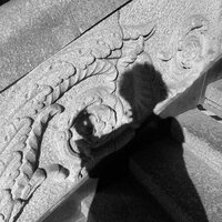 Аня Пронина