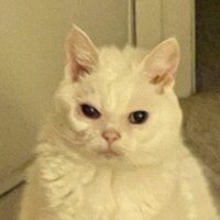 Светлана Пай