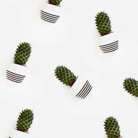 Екатерина Гудкова