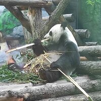 Татьяна Береснева