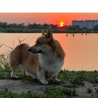 Анатолий Устименко