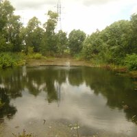 Анатолий Рупушев