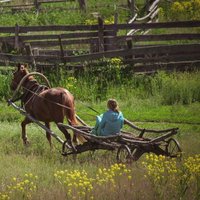 Анна Масленникова