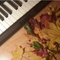 евгения тимофеева