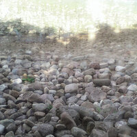 Регина Шарипова