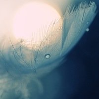 Анастасия Хрулева