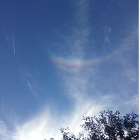 Илья Короткий