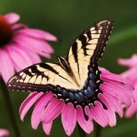 МАРИНА КОЛМЫЧЕНКО