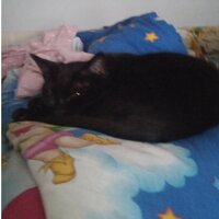 Соня Язенкова