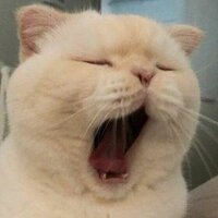 Марина Заец