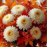 Елена Цвинская