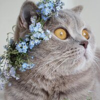 Валентина Тупицына