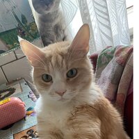 Буныгин Алексей