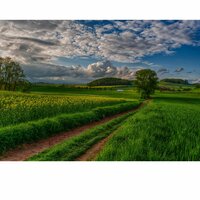 Трахен Мрахен