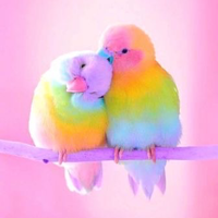 Вердиния Саввинова