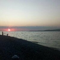 Алексей Михайлов