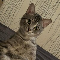 Дмитрий Иванов