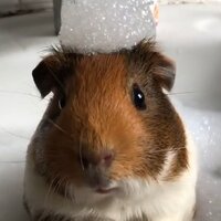 Мария Мартынова