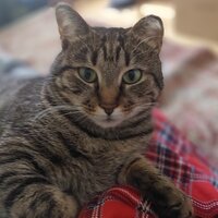 Ирина Гуковская