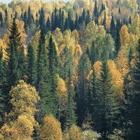 Иван Устинов