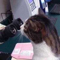 Александра Коржова