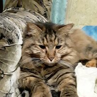 Ольга Мельник