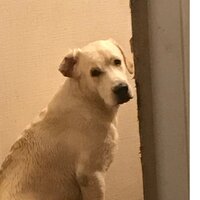 Маргарита Ш.