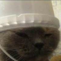 Екатерина Иващенко