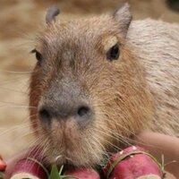 Виктор Капибаров