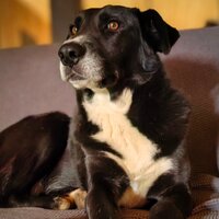 Елена Сергунина