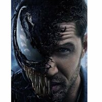 Никита Холодов