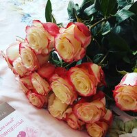 Заметки многодетки