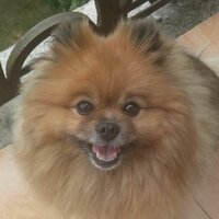 Дмитрий Александров