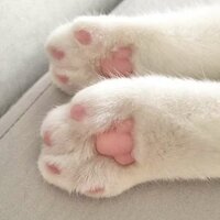 Бессонова А.