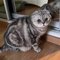 марк Васильев