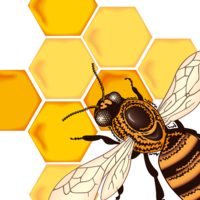 Максим  Иванченко