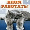 6uh1hpzbzde4ykav92jxwfvr20